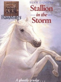 Image of Stallion in the Storm by Lucy Daniels Paperback