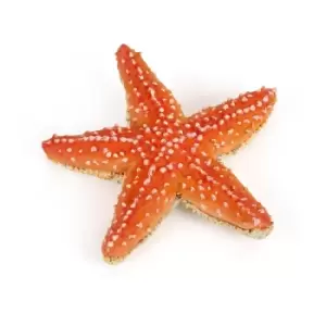 image of Papo Marine Life Starfish Toy Figure, 3 Years or Above, Orange (56050)