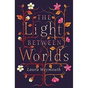 Image of The Light Between Worlds Paperback / softback 2018