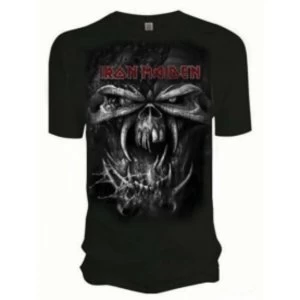 Image of Iron Maiden Final Frontier Eddie Vintage Mens T Shirt: La