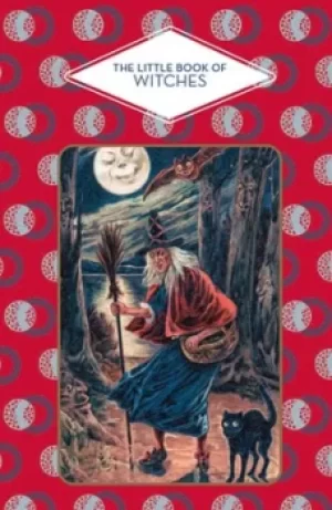 Image of The Little Book of Witches by Dominique Foufelle