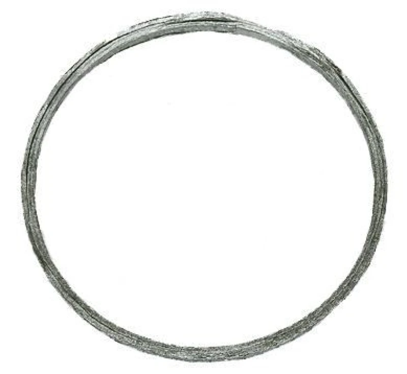 Image of Exhaust pipe gasket VEGAZ BD-152