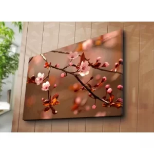 Image of 70100C-117 Multicolor Decorative Canvas Painting