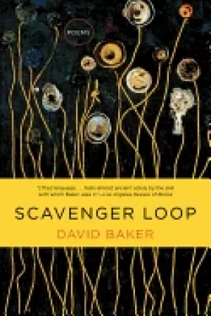 Image of scavenger loop