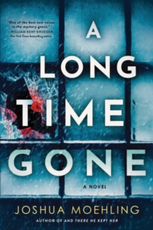 Image of A Long Time Gone : A Novel Paperback / softback