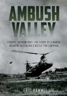 Image of Ambush Valley : I Corps, Vietnam 1967-the Story of a Marine Infantry Battalions Battle for Survival