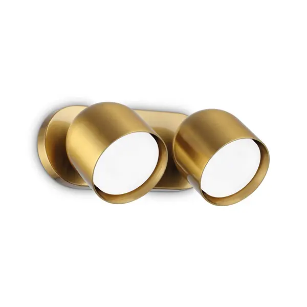 Image of Dodo 2 Light Twin Ceiling Spotlight Brass