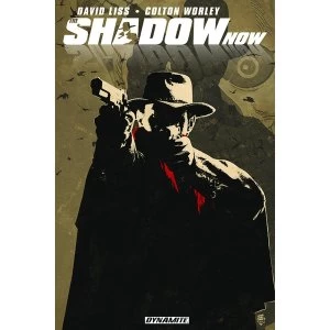 Image of The Shadow Now (Paperback, 2015)