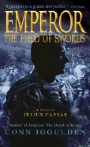 Image of field of swords