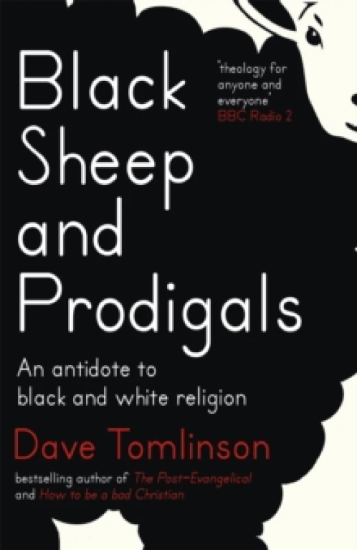 Image of Black Sheep and Prodigals : An Antidote to Black and White Religion Paperback / softback