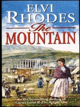 Image of The Mountain by Elvi Rhodes Paperback