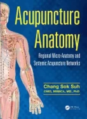 Image of acupuncture anatomy regional micro anatomy and systemic acupuncture network