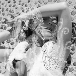 image of Bjork - Vespertine CD