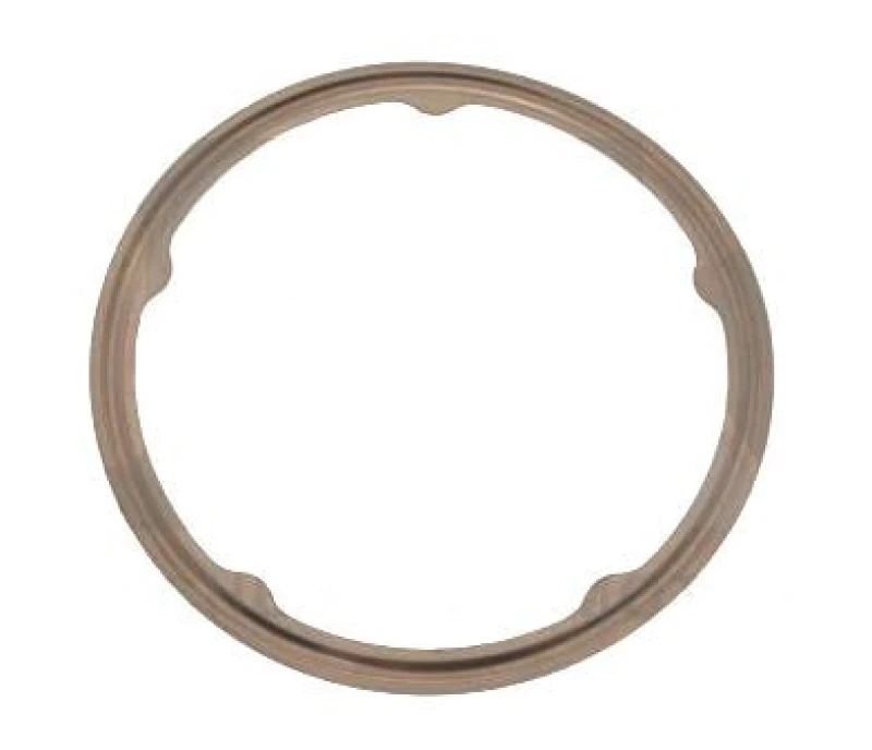 Image of Exhaust pipe gasket VEGAZ OD-205