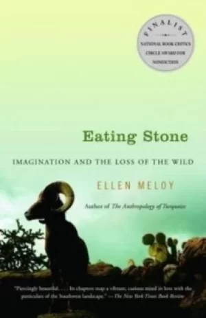 Image of Eating Stone by Ellen Meloy