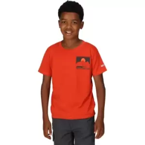 Image of Regatta Boys Alvarado VII Quick Dry Graphic T Shirt 11-12 Years - Chest 75-79cm (Height 146-152cm)