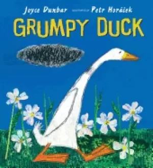 Image of grumpy duck