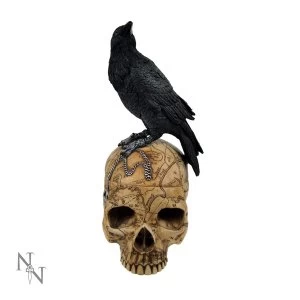 Image of Salems Familiar Skull