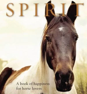 Image of Spirit by Anouska Jones Hardback
