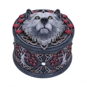 Image of Guardian of the Fall Box