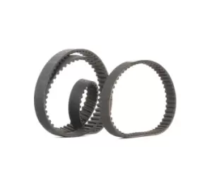 Image of CONTITECH Timing belt kit CT957(SET) Timing belt set,Cam belt kit VW,AUDI,SKODA,Golf IV Schragheck (1J1),Golf V Schragheck (1K1),POLO (9N_)