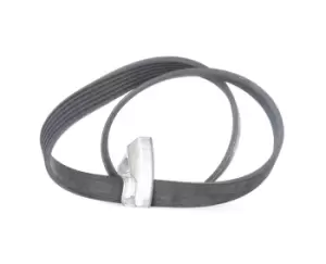 Image of CONTITECH V-ribbed belt set VW,AUDI,SKODA 6PK842 ELAST T1 03L998037,03L998037,03L998037 03L998037