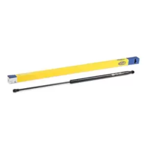 Image of MAGNETI MARELLI Tailgate strut CITROEN 430719012800 087310,873100,8731000 8731E3,96219076080,9621907680,9630753280