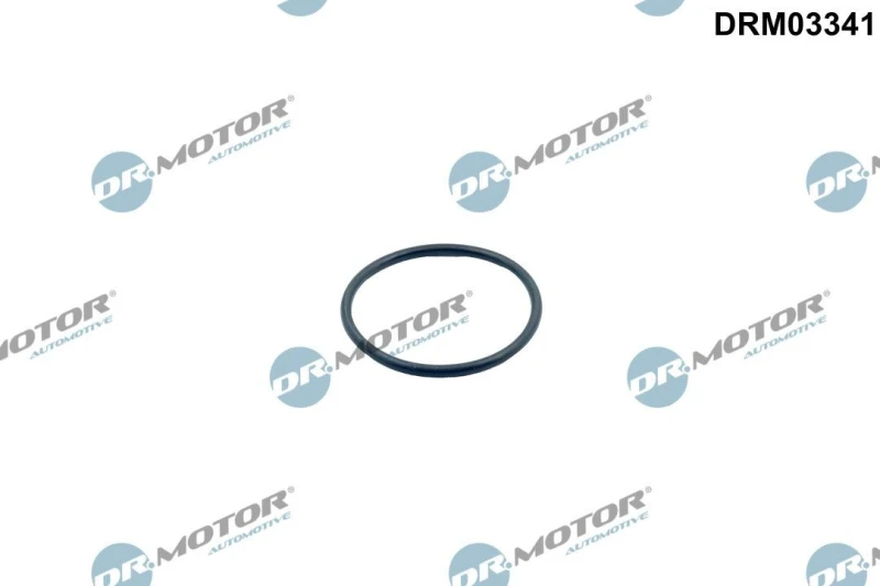 Image of DR.MOTOR AUTOMOTIVE Gasket, thermostat DR.MOTOR AUTOMOTIVE DRM03341
