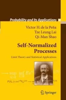 Image of Self-Normalized Processes : Limit Theory and Statistical Applications