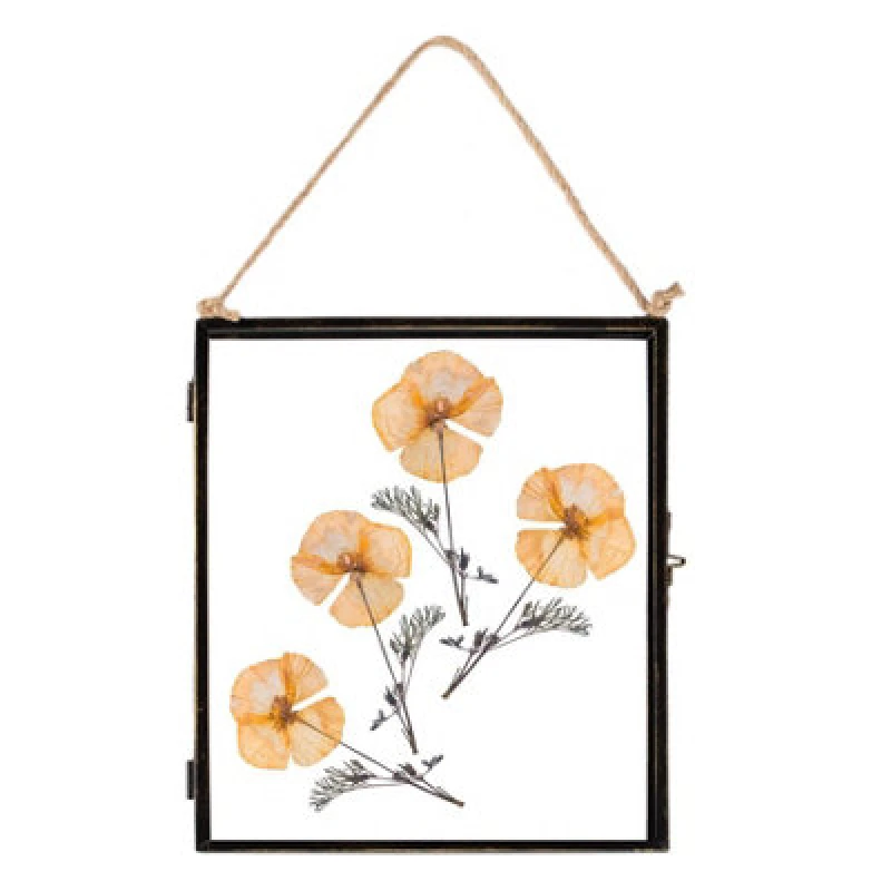 Image of Nicola Spring Hanging Metal Photo Frame - 8" x 10" - Black Black