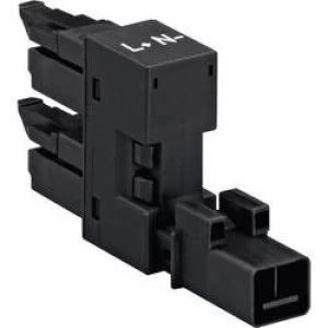Image of Mains H distributor Mains plug Mains socket Mains socketTotal number of pins 2WhiteWAGO
