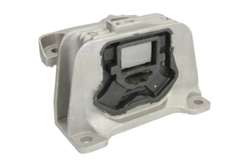 Image of REINHOCH Holder, engine mounting REINHOCH RH11-3001