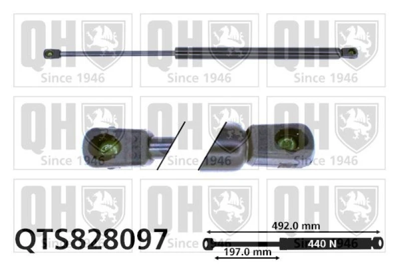 Image of QUINTON HAZELL Tailgate strut QUINTON HAZELL QTS828097