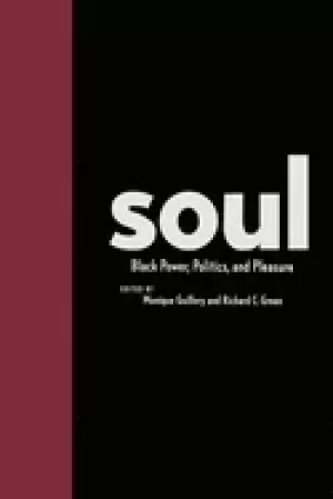 Image of soul Black power politics and pleasure