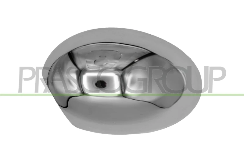Image of PRASCO Wing mirror cover PRASCO MN3087424