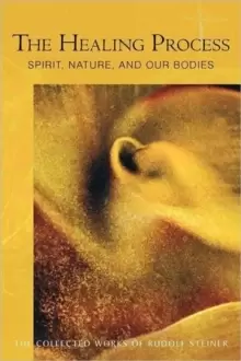 Image of The Healing Process : Spirit, Nature and Our Bodies