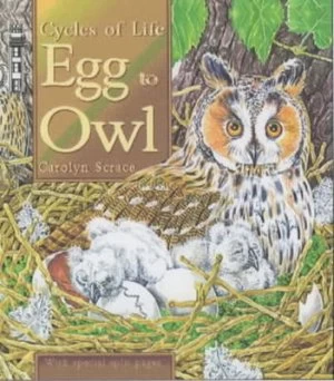 Image of Egg to Owl by Carolyn Franklin Paperback