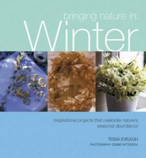 Image of Winter by Tessa Evelegh Book