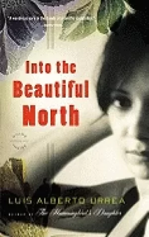 Image of into the beautiful north a novel