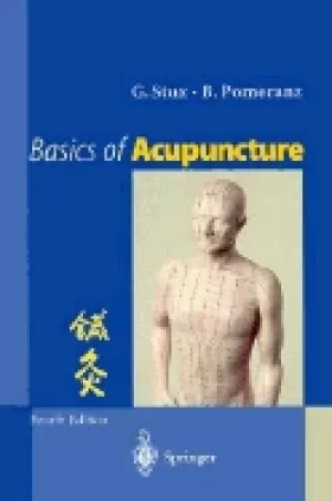 Image of basics of acupuncture