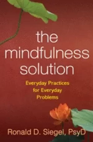 Image of mindfulness solution everyday practices for everyday problems