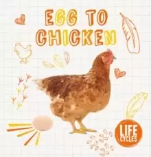 Image of Egg To Chicken