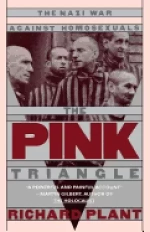 Image of pink triangle the nazi war against homosexuals