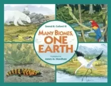 Image of Many Biomes, One Earth