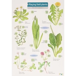 Image of Playing Field Plants Other book format 2005