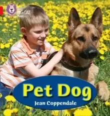Image of PET DOG : Band 02a/Red a