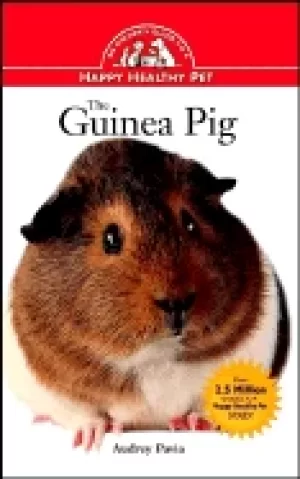 Image of guinea pig an owners guide to a happy healthy pet