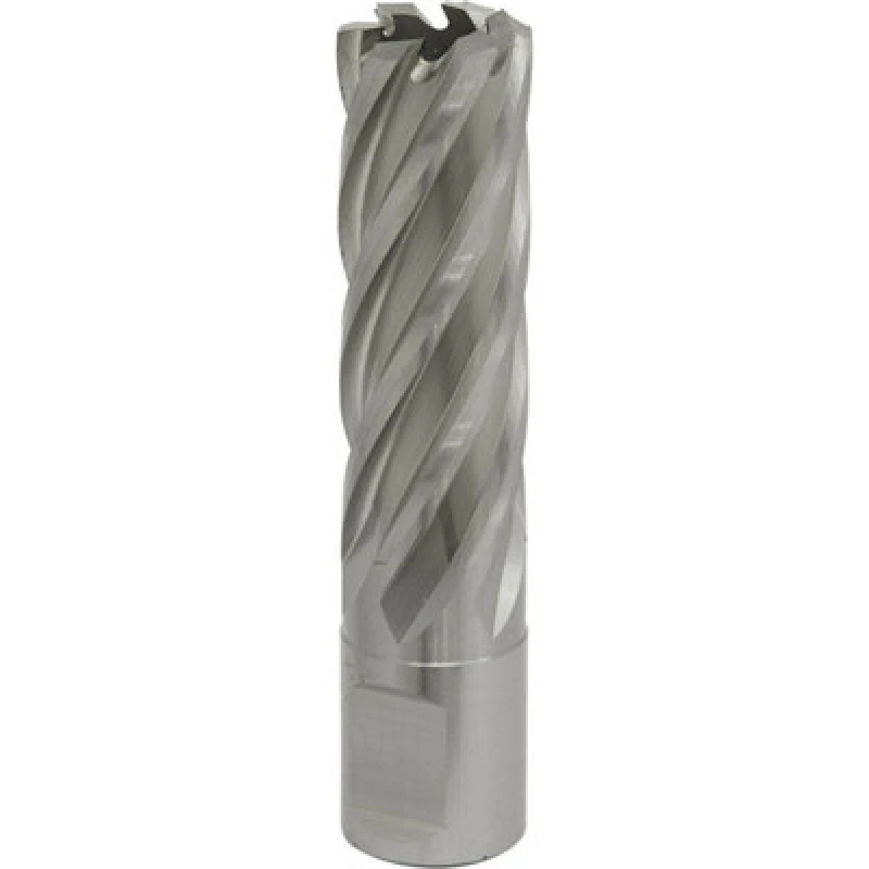 Image of Loops 19mm x 50mm Depth Rotabor Cutter - M2 Steel Annular Metal Core Drill 19mm Shank Metallics