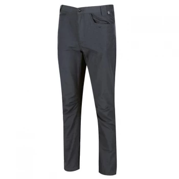 Image of Regatta Delgado Walking Trousers ( Regular Leg) - Seal Grey