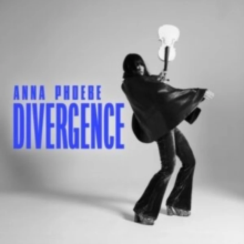 Image of Divergence CD / Album